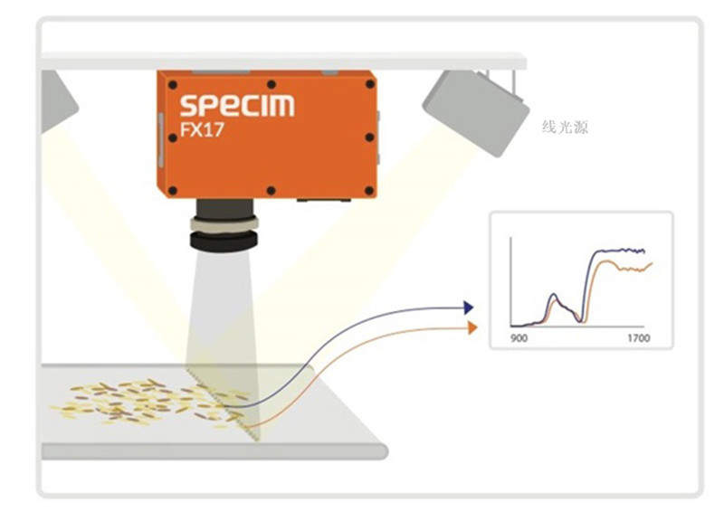 圖 2：NIR 高光譜相機根據不同材料的獨特光譜“指紋”實時識別這些材料