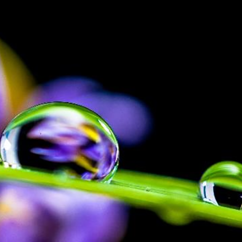 有機矽粉末憎水劑