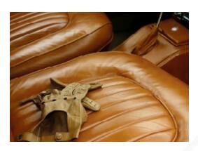 T-52用於(yu) 皮革