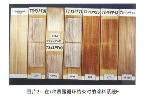 照片2：在7種暴露循環結束時的塗料係統F