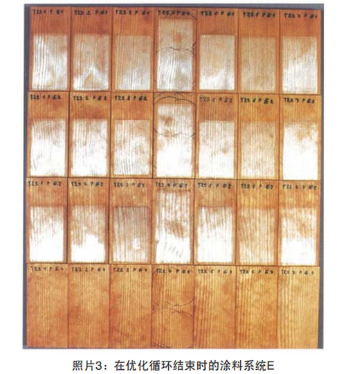 照片3：在優(you) 化循環結束時的塗料係統E