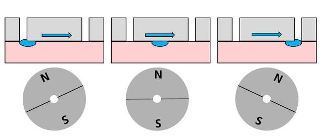 微流體(ti) 應用的磁性形狀記憶泵msm泵