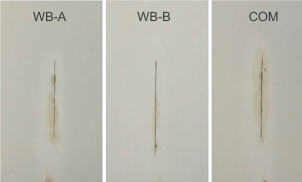 圖 8 展示了 MC #1、MC #2 和 MC #3 係統在鹽霧試驗約 1000 小時後和用 800 號砂紙去除表麵鏽漬後的麵板圖像。