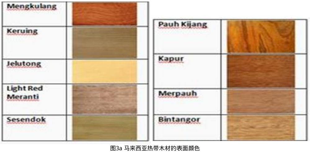 圖3a 馬來西亞(ya) 熱帶木材的表麵顏色