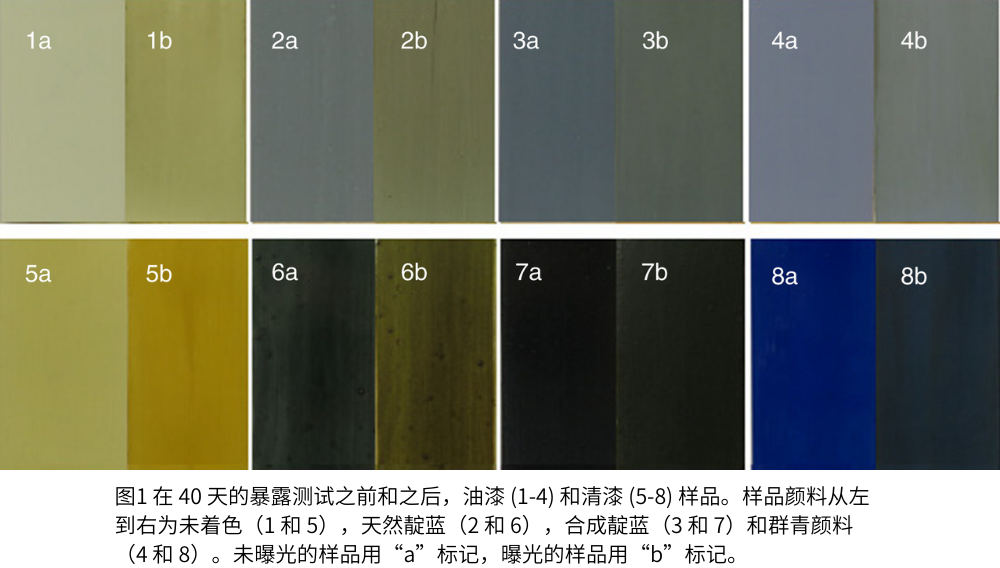 圖1 在 40 天的暴露測試之前和之後，油漆 (1-4) 和清漆 (5-8) 樣品。