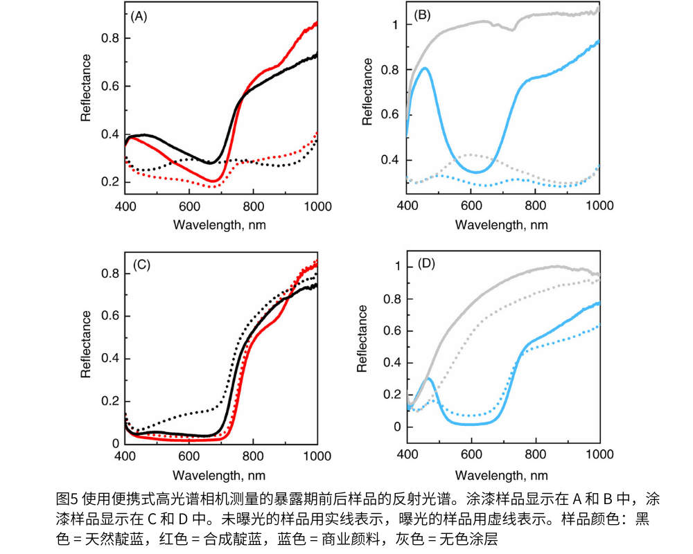 圖5 使用便攜式高光譜相機測量的暴露期前後樣品的反射光譜。