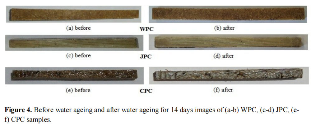 圖 4(a) 和 4(b) 顯示了WPC 樣品在蒸餾水中老化 14 天前後的情況