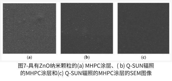圖7顯示了包含ZnO納米顆粒的塗層的SEM圖像