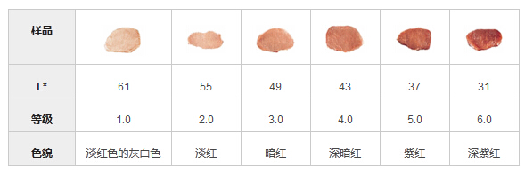 CR400色差儀(yi) 用於(yu) 測量豬肉